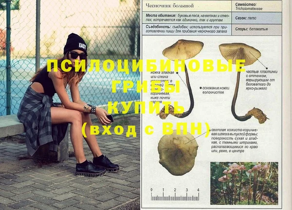 мескалин Алексеевка