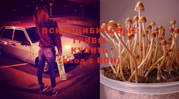 мескалин Алексеевка